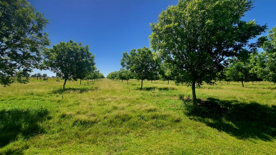 Commercial Property for Sale in Bainsvlei Free State